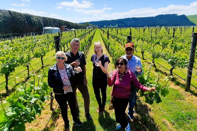 Half Day Martinborough Winery Tour from Wellington - Three Martinborough wineries, three different experiences