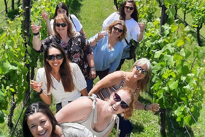 Half Day Martinborough Winery Tour from Wellington - A possible cheese stop at C’est Cheese