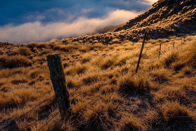 Half-Day Queenstown Photography Tour - Is $235.82 good value?