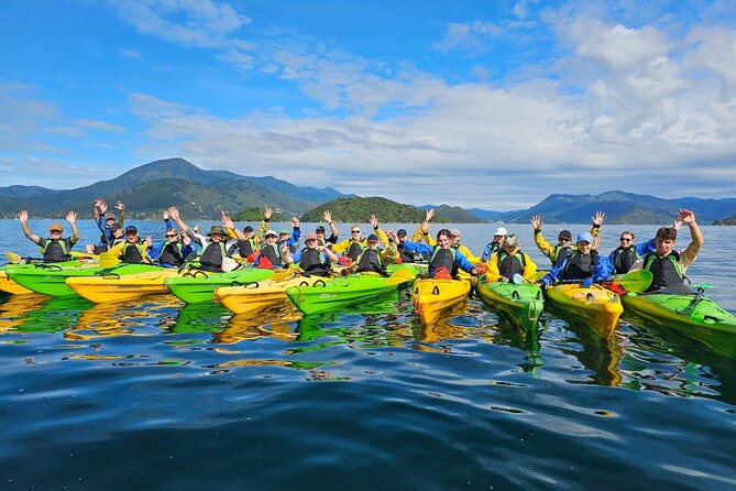 Half day Sea Kayak Guided Tour from Picton - Paddling into Queen Charlotte Sound