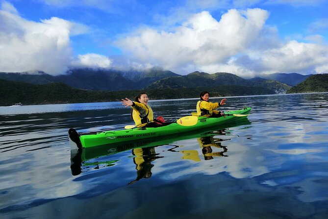 Half day Sea Kayak Guided Tour from Picton - What the guides add beyond safety