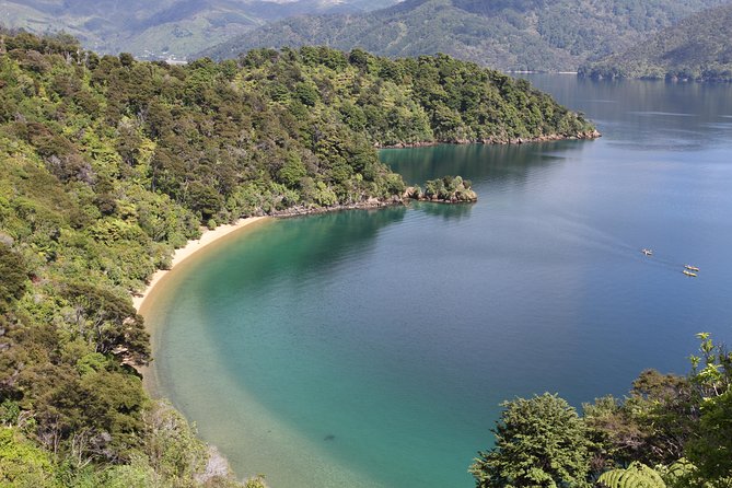 Half day Sea Kayak Guided Tour from Picton - Is four hours the right length?