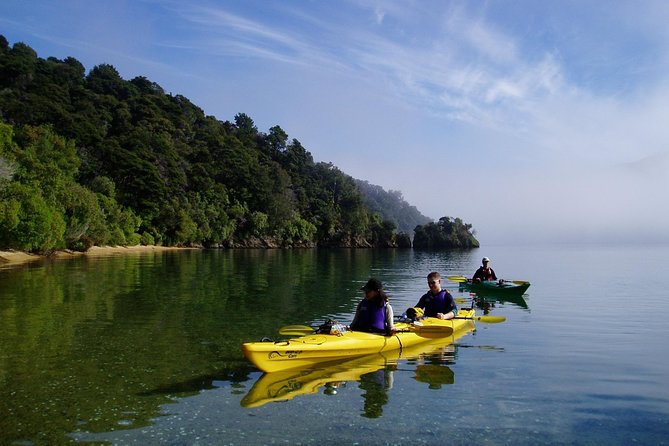 Half day Sea Kayak Guided Tour from Picton - Price and practical value at $74.47