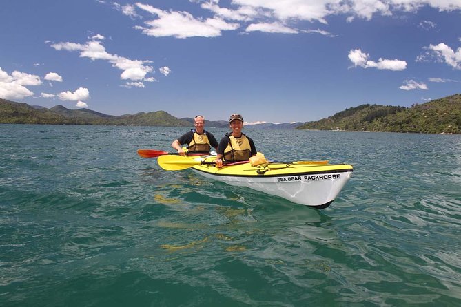 Half day Sea Kayak Guided Tour from Picton - Weather, cancellation, and flexibility