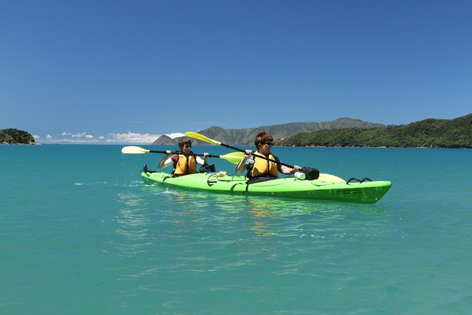Half day Sea Kayak Guided Tour from Picton - Wildlife beneath and around the kayak