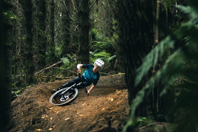 Half-Day Self-Guided Mountain Bike Journey through Whakarewarewa Redwood Forest - The best parts, and the weak spots