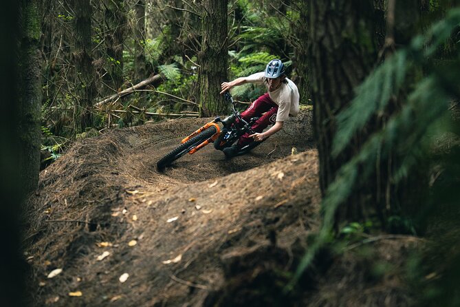 Half-Day Self-Guided Mountain Bike Journey through Whakarewarewa Redwood Forest - Getting fitted with a Giant mountain bike