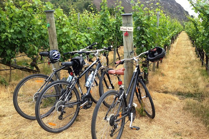 Half-Day Self-Guided Ride and Wine Bike Tour from Arrowtown - Key points to know before you ride
