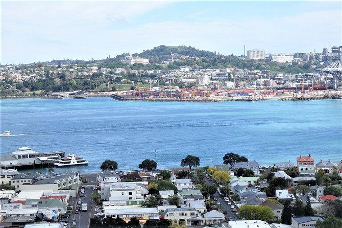 Half-Day: Small Group Auckland Scenic Tour - 4 HOURS - North Head’s tunnels and harbor outlooks