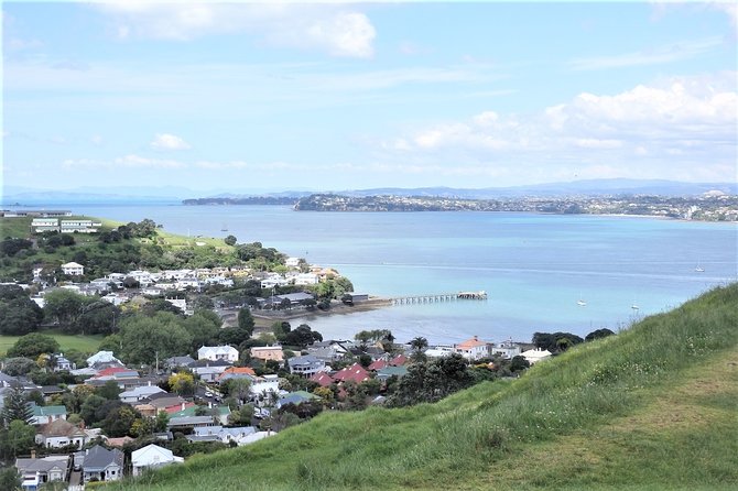 Half-Day: Small Group Auckland Scenic Tour - 4 HOURS - Ponsonby Road and central Auckland