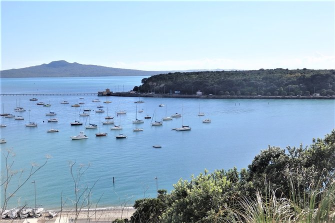 Half-Day: Small Group Auckland Scenic Tour - 4 HOURS - Devonport and its old villas