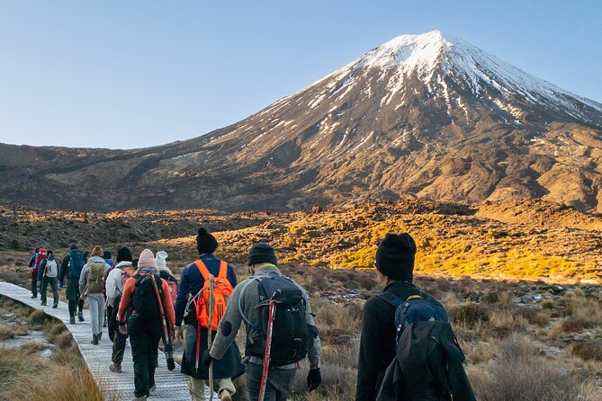 Half Day Tongariro Alpine Guided Group Walk - Why this short Tongariro walk works