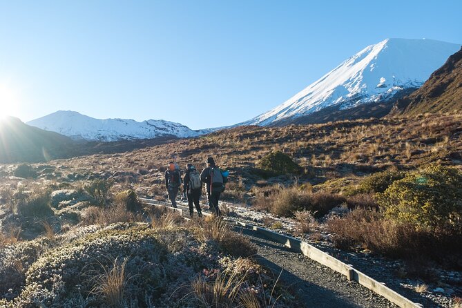 Half Day Tongariro Alpine Guided Group Walk - Full-day upgrade: useful option, not a promise