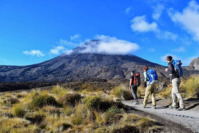 Half Day Tongariro Alpine Guided Group Walk - What the four-hour timing means