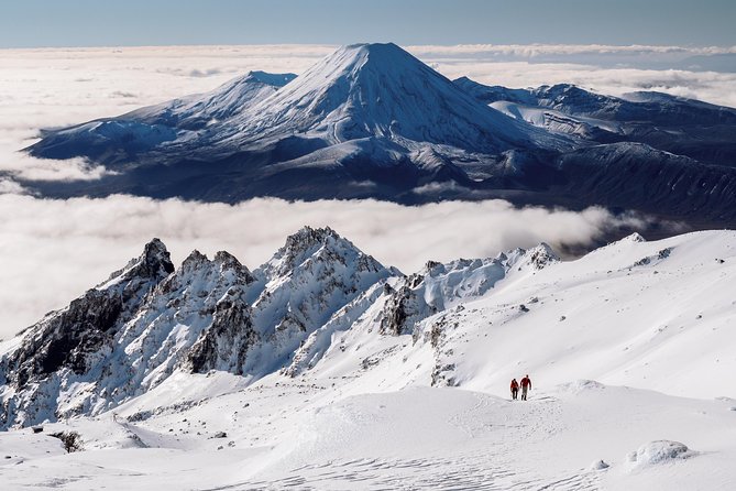 Half Day Tongariro Alpine Guided Group Walk - The guide team and the safety culture