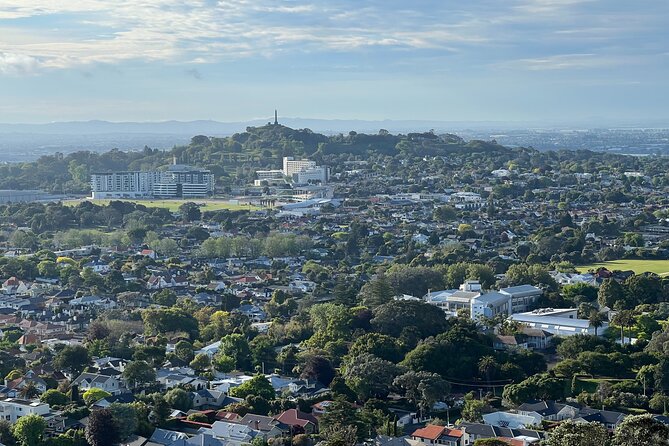 Half-Day Tour: AUCKLAND CITY Highlights with Hotel Pickup - Sky Tower and Harbour Bridge: Auckland from the road