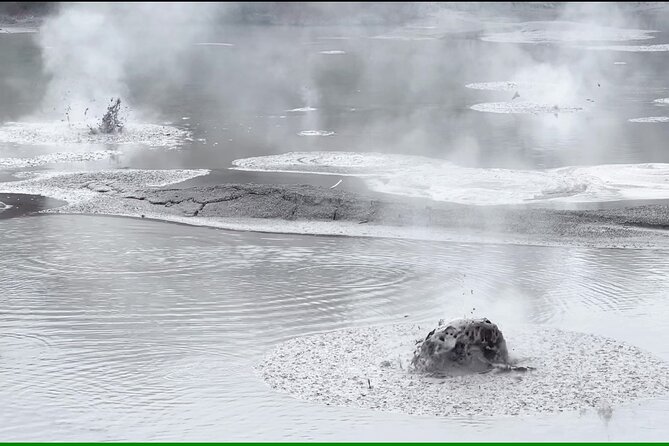 Half-Day Tour - Ex Rotorua: WAI-O-TAPU Thermal Wonderland - What the Driver Adds to the Morning