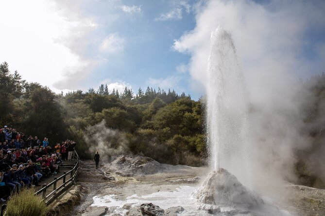 Half-Day Tour - Ex Rotorua: WAI-O-TAPU Thermal Wonderland - Who Should Book This Rotorua Outing?