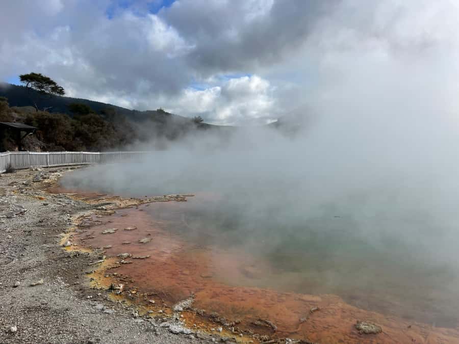 Half-Day Tour - Ex Rotorua: WAI-O-TAPU Thermal Wonderland - The tour’s main limitations