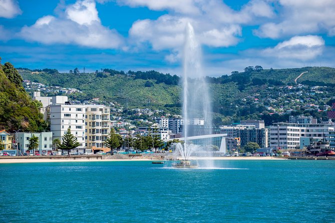 Half Day Tour of Wellington - Five things to know before you book