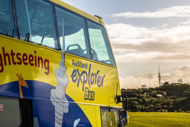 Half-Day Volcano Tour from Auckland - Mount Eden finishes with the best city panorama