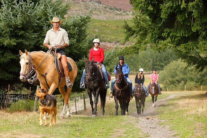 Half Day Walter Peak Horse Trek and Cruise from Queenstown - Who Will Enjoy This Ride Most