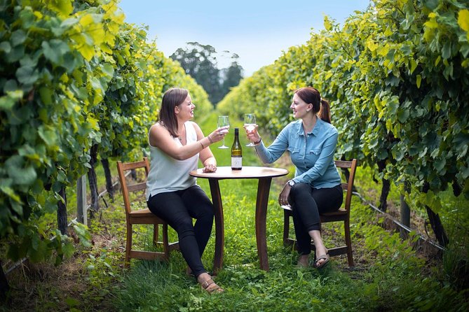 Half-Day Wine Tour from Blenheim - At the first winery, the guide sets the tone