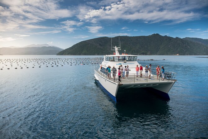 Half-Day Wine Tour from Picton - What the Price Includes at $114.81