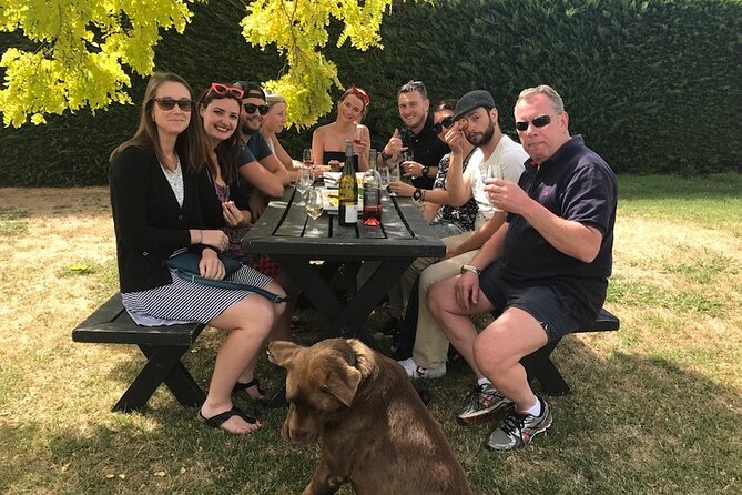 Half Day Wine Tour in Napier - Key points at a glance