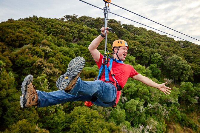 Half Day Zipline Adventure in Kaikoura - The Kaikōura Peninsula setting
