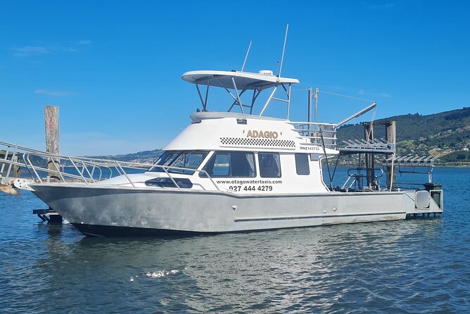 Harbour, Albatross and Wildlife Cruise on Otago Harbour - Key points to know before you go