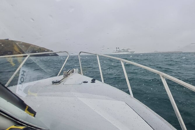 Harbour, Albatross and Wildlife Cruise on Otago Harbour - A short look at Carey’s Bay