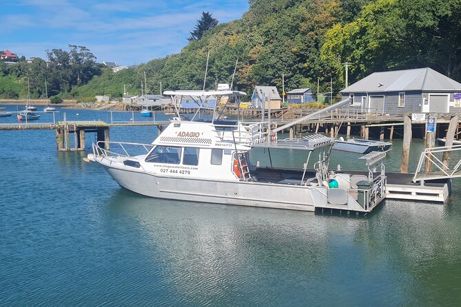 Harbour, Albatross and Wildlife Cruise on Otago Harbour - Is $80.67 good value?