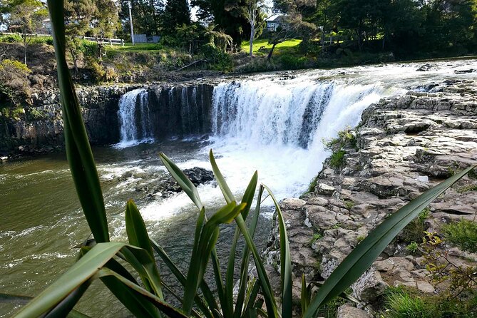 Haruru Waterfalls and Glow Worm Caves Tour - A guide can make or break this outing