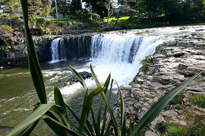 Haruru Waterfalls and Glow Worm Caves Tour - Is $108.60 good value?