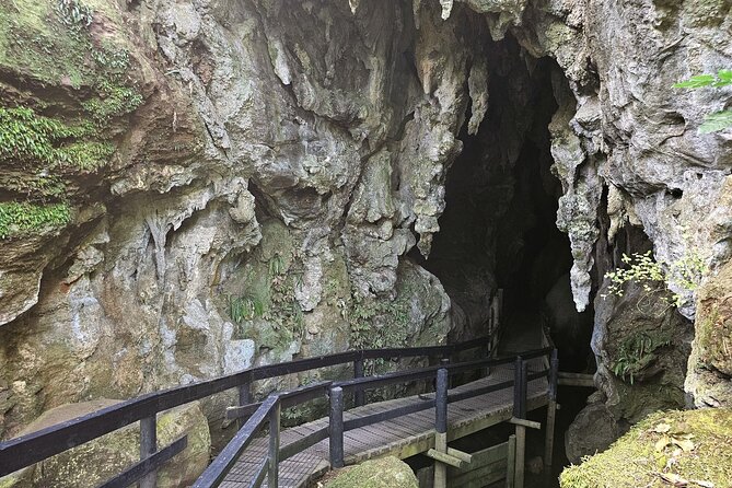 Haruru Waterfalls and Glow Worm Caves Tour - Haruru Falls brings the sound first
