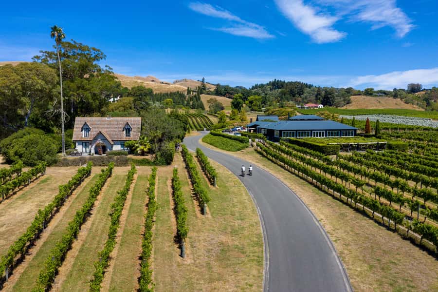 Hawke's Bay: Self Guided Coast to Vineyards Cycle Tour - Atea A Rangi Star Compass and the coastal wetlands