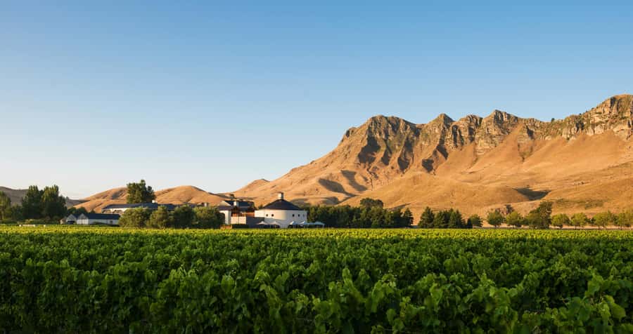 Hawke's Bay: Self Guided Coast to Vineyards Cycle Tour - Who will enjoy this ride most?