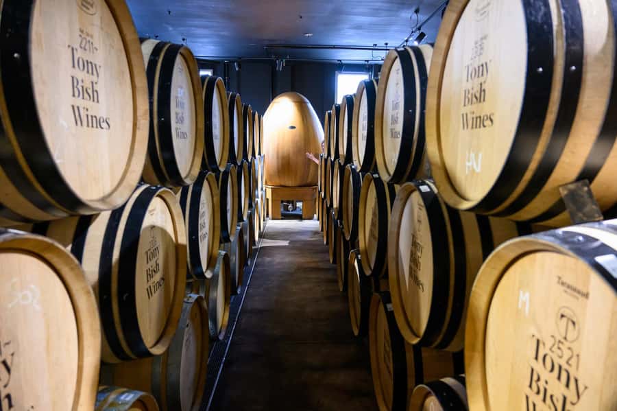 Hawkes Bay: Half-Day Wine Tour with Tastings and Cheeseboard - Havelock North adds another wine-country setting