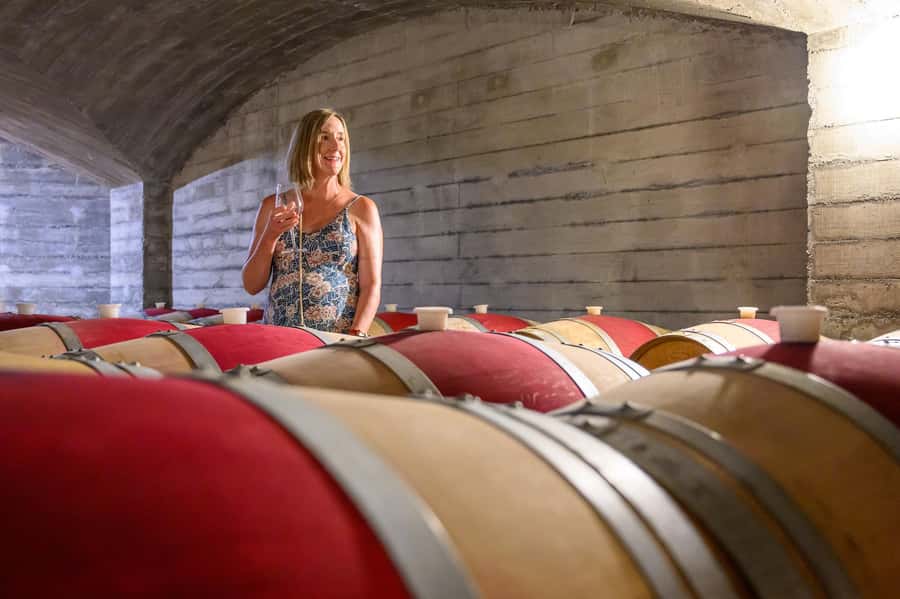Hawkes Bay: Half-Day Wine Tour with Tastings and Cheeseboard - The guides are central to the experience