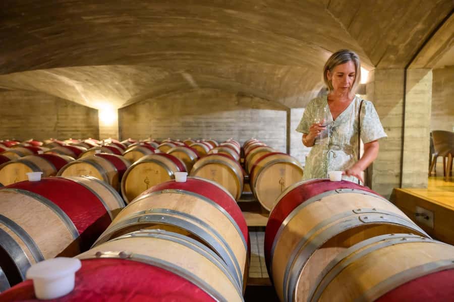 Hawkes Bay: Half-Day Wine Tour with Tastings and Cheeseboard - What the $96 price includes