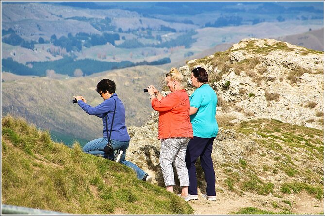 Hawkes Bay - Scenic, luncheon, wine Tour - Starting in Napier with the 1931 earthquake