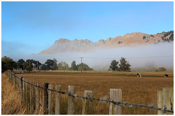 Hawkes Bay - Scenic, luncheon, wine Tour - The off-track lookout over Hawke’s Bay