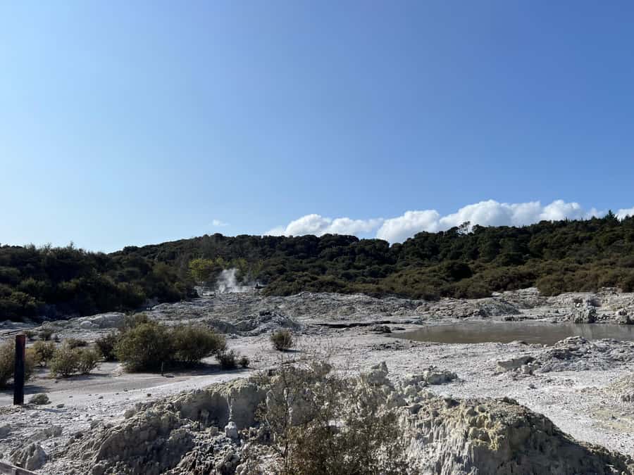 HELL'S GATE Mud Spa, Rotorua - Group Day Tour Ex Auckland - Hells Gate shows Rotoruas rougher side