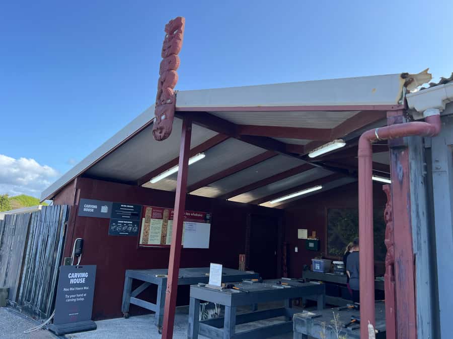 HELL'S GATE Mud Spa, Rotorua - Group Day Tour Ex Auckland - The mud bath is the star attraction