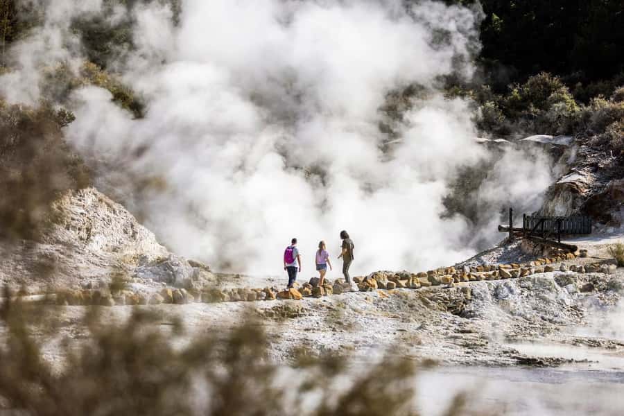 HELL'S GATE Mud Spa, Rotorua - Group Day Tour Ex Auckland - Lunch needs your attention