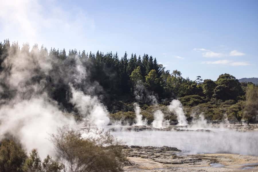 HELL'S GATE Mud Spa, Rotorua - Group Day Tour Ex Auckland - Tirau turns a coffee break into a real stop