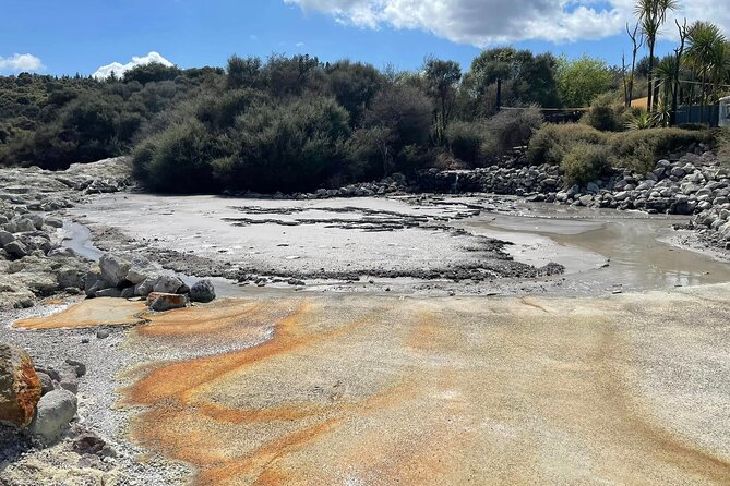 Hells Gate Geothermal, Mud & Sulphur Spa - Why this Tauranga outing is worth considering