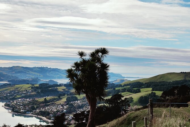 Heritage City and Larnach Castle Van tour with Historian Guide - Dunedin Railway Station rewards a closer look