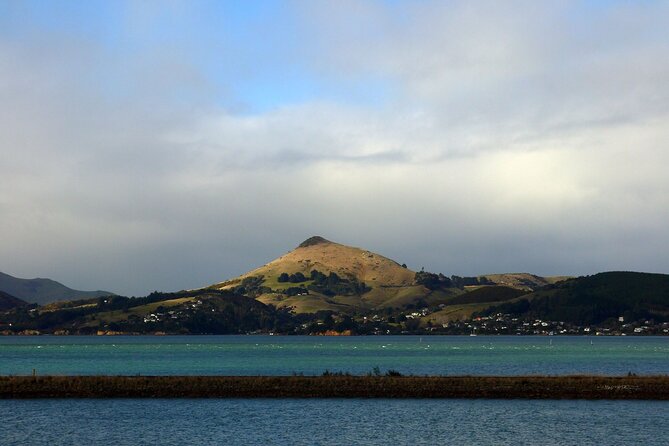 Heritage City and Larnach Castle Van tour with Historian Guide - Queens Garden and High Street reveal two sides of the city